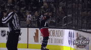 celebrate ice hockey GIF by NHL