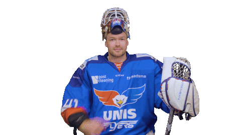 Goal Eagles Sticker by UNIS Flyers