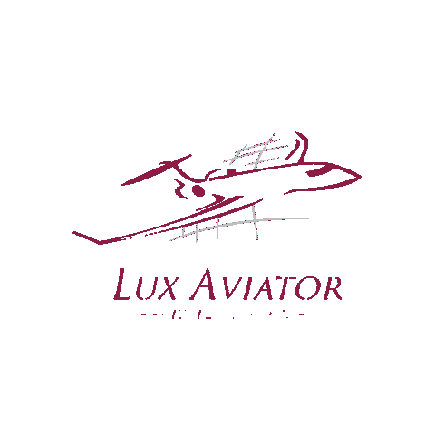 Sticker by Lux-Aviator