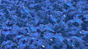 Disney Channel Animation GIF by Tara Duncan