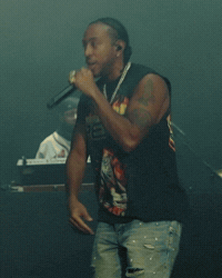 Ludacris Bottlerock GIF by Respective