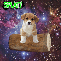 GIF by SplatMag