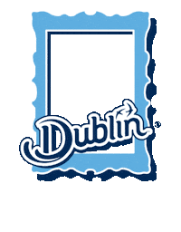 Dublin Castle Sticker by Discover Ireland