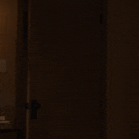 Station 19 Fighting GIF by ABC Network