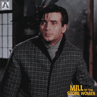 Giorgio Ferroni Reaction GIF by Arrow Video