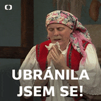 Karate Ceskatelevize GIF