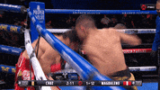 Knockout Ko GIF by Premier Boxing Champions