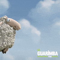 Fail Stop Motion GIF by La Guarimba Film Festival
