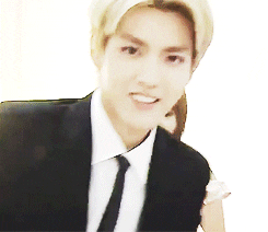 kris GIF
