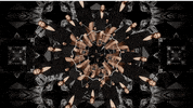 zayn malik GIF by ZAYN