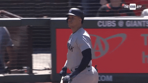 New York Yankees GIF by YES Network