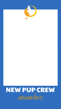 New Member Puppy Sticker by Tailz