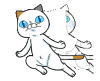 Cat Flash Sticker