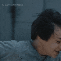Run Running GIF by La Guarimba Film Festival