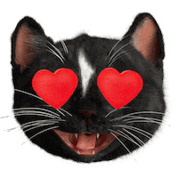 In Love Reaction Sticker by Felini Rocks