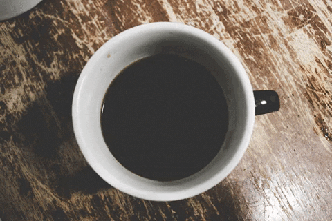 deathwishcoffee giphygifmaker coffee surprise peek a boo GIF
