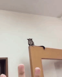 GIF by Demic