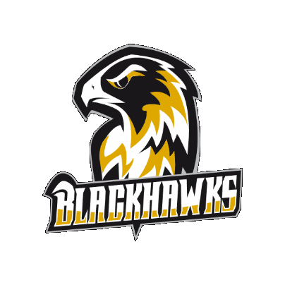 MuensterBlackhawks american football blackhawks muenster Sticker