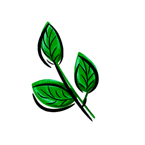 Verde Hojas Sticker