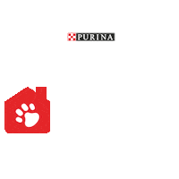 Gatos Perros Sticker by Purina España