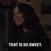 The Rookie Drama GIF by ABC Network