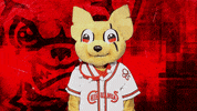 El Paso Yes GIF by El Paso Chihuahuas