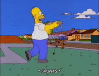 homer simpson GIF
