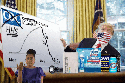 lewlatu giphygifmaker giphyattribution trump covid GIF