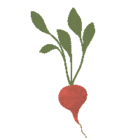 Vegan Diet Sticker