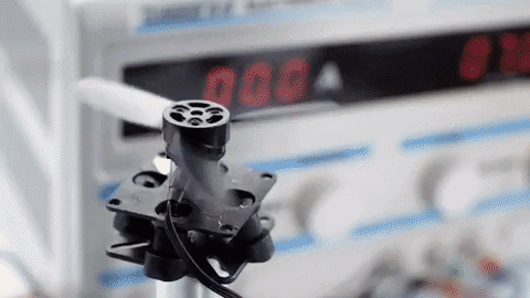 tags for follows GIF