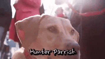 dogs GIF by Badass BK