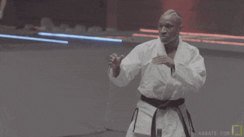 Sport GIF by Karate Combat