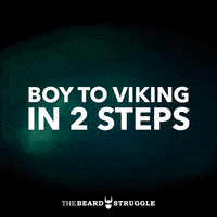 Viking Beard Care GIF by THE BEARD STRUGGLE