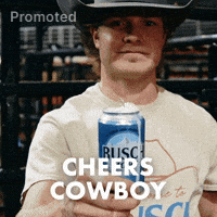 Cheers Busch Light GIF by Busch Beer
