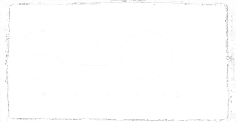 Sticker by SAOL