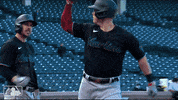 Jumping Major League Baseball GIF by MLB