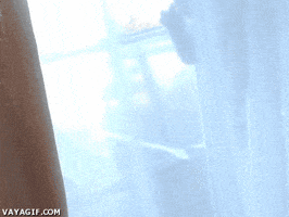 Fail Fat Cat GIF