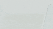 credit card clover GIF