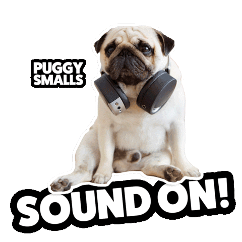 thepuggysmalls cute up sound pug Sticker