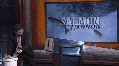 john oliver salmon cannon GIF by Giffffr