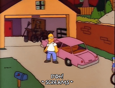 homer simpson episode 6 GIF