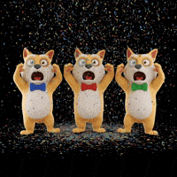 Bow Tie Omg GIF by Doge Pound
