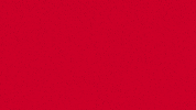 Nihad Djedovic Zlatan GIF by FC Bayern Basketball