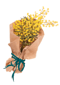Flowers Australia Sticker by Made590