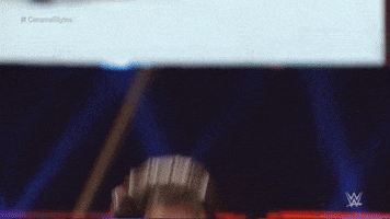 wwe sports wwe wrestling 2016 GIF
