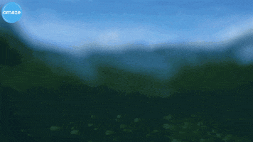 hang ten kelly slater GIF by Omaze