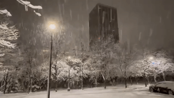 School Canceled in Albany, New York, as Snow Piles Up