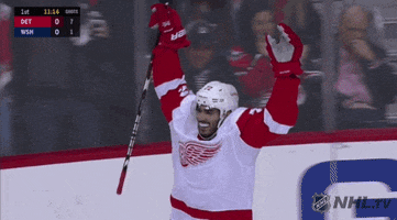 happy ice hockey GIF by NHL