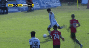 GIF by TD Más