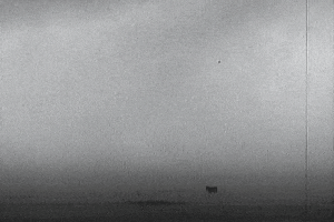 crashthecalm devils crash the calm a town named nowhere dust bowl GIF